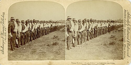 Custer's Last Stand